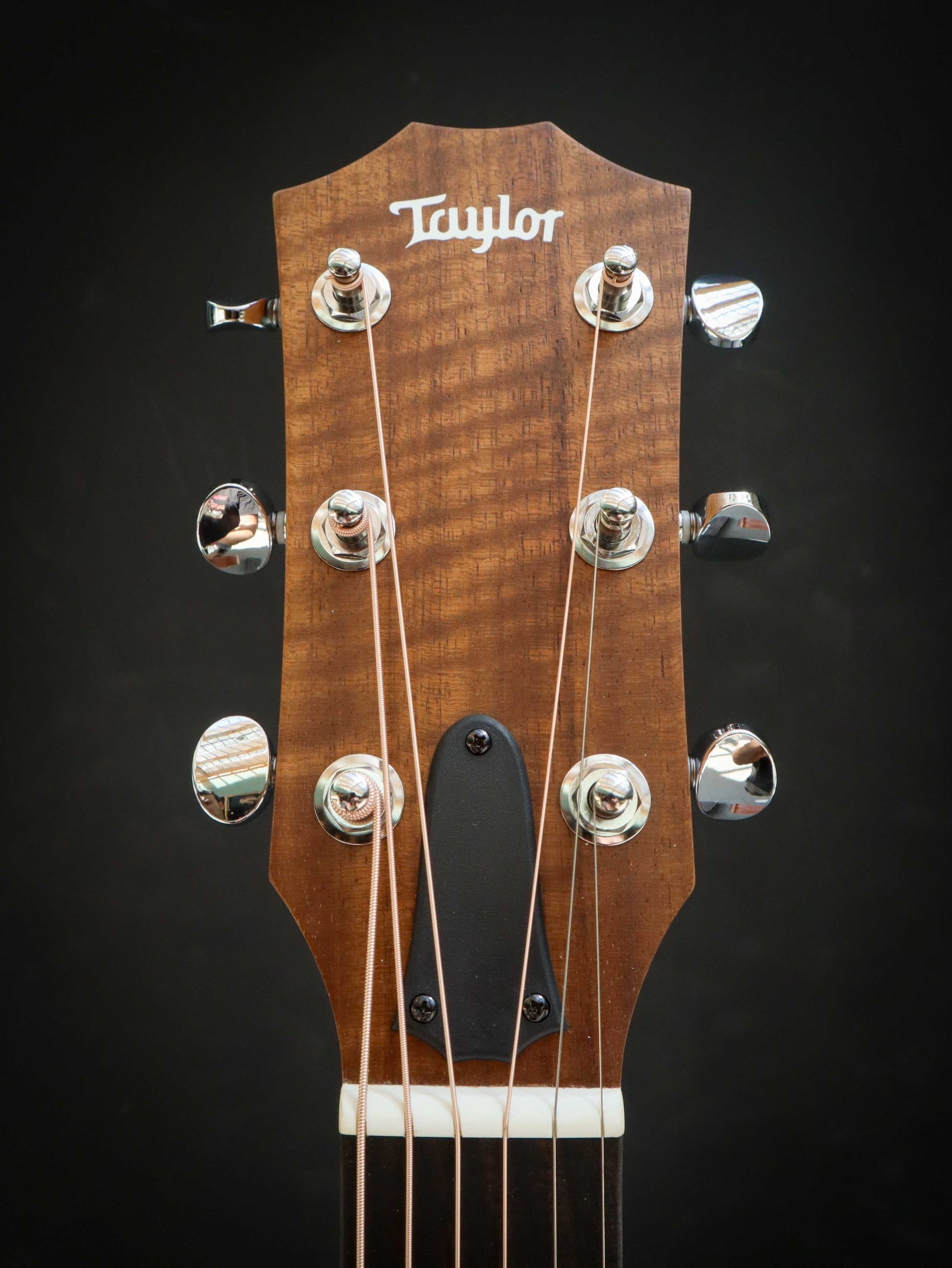 Taylor 24ce – Bild 9