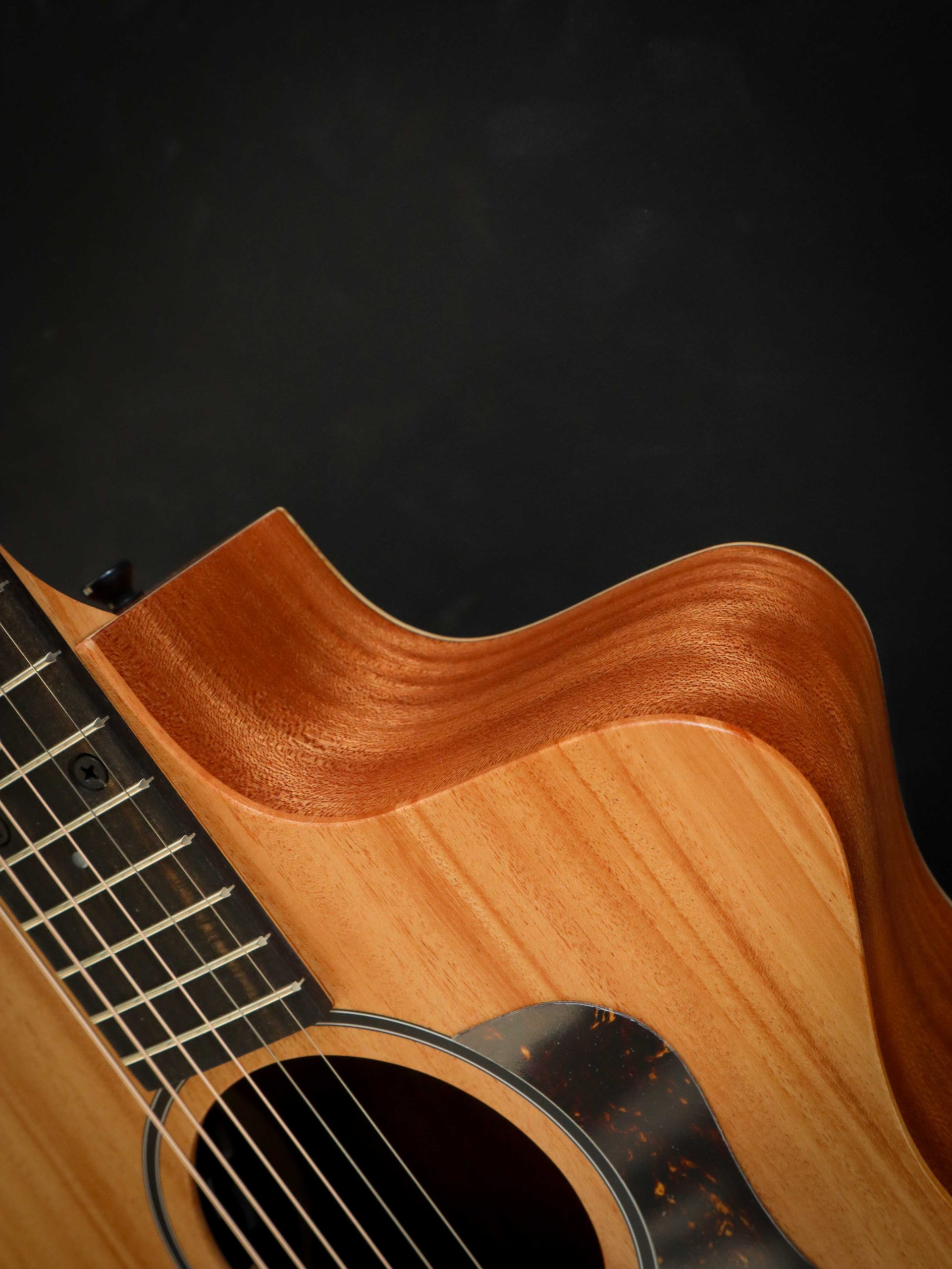 Taylor 24ce – Bild 5