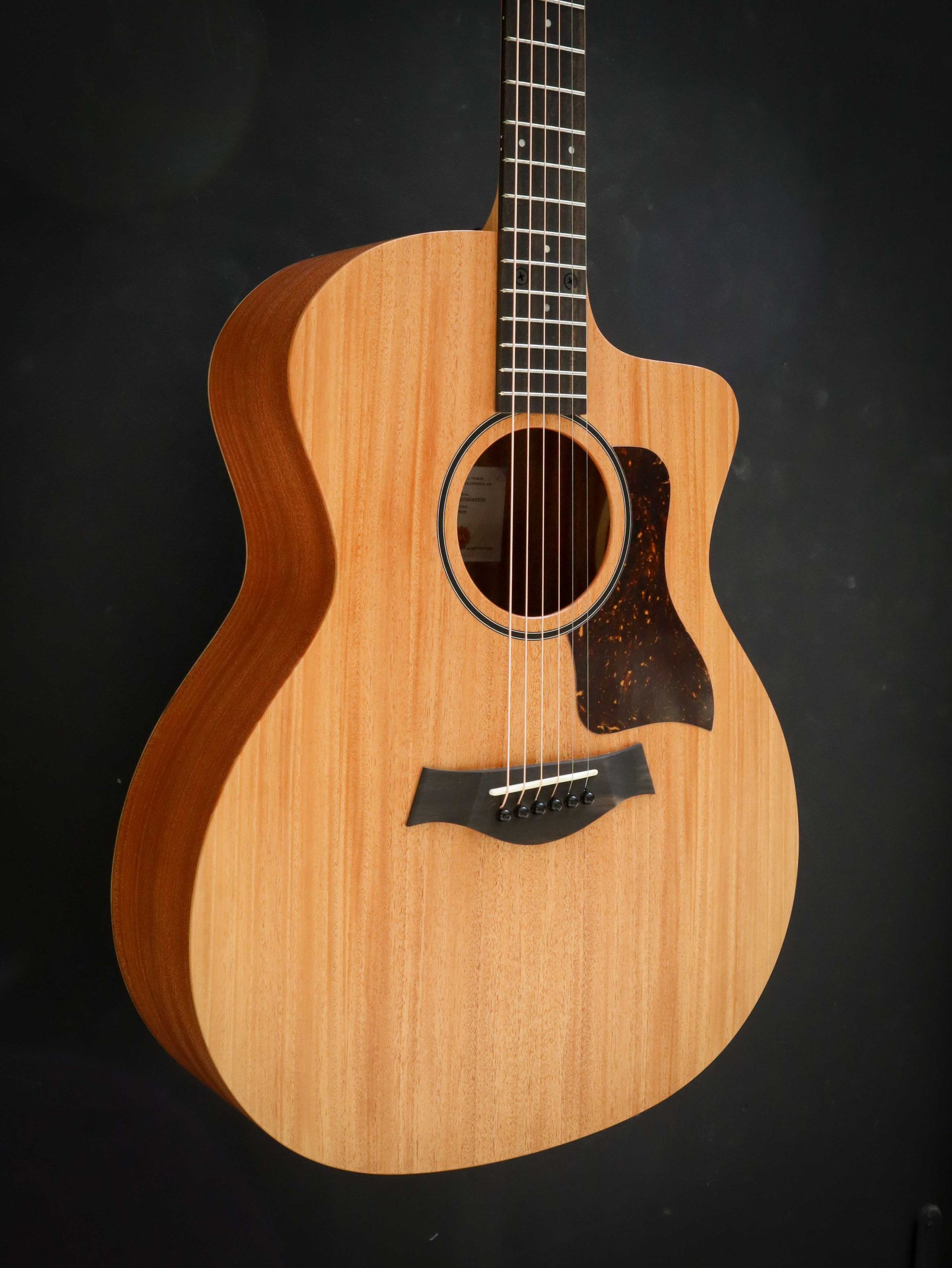 Taylor 24ce – Bild 4