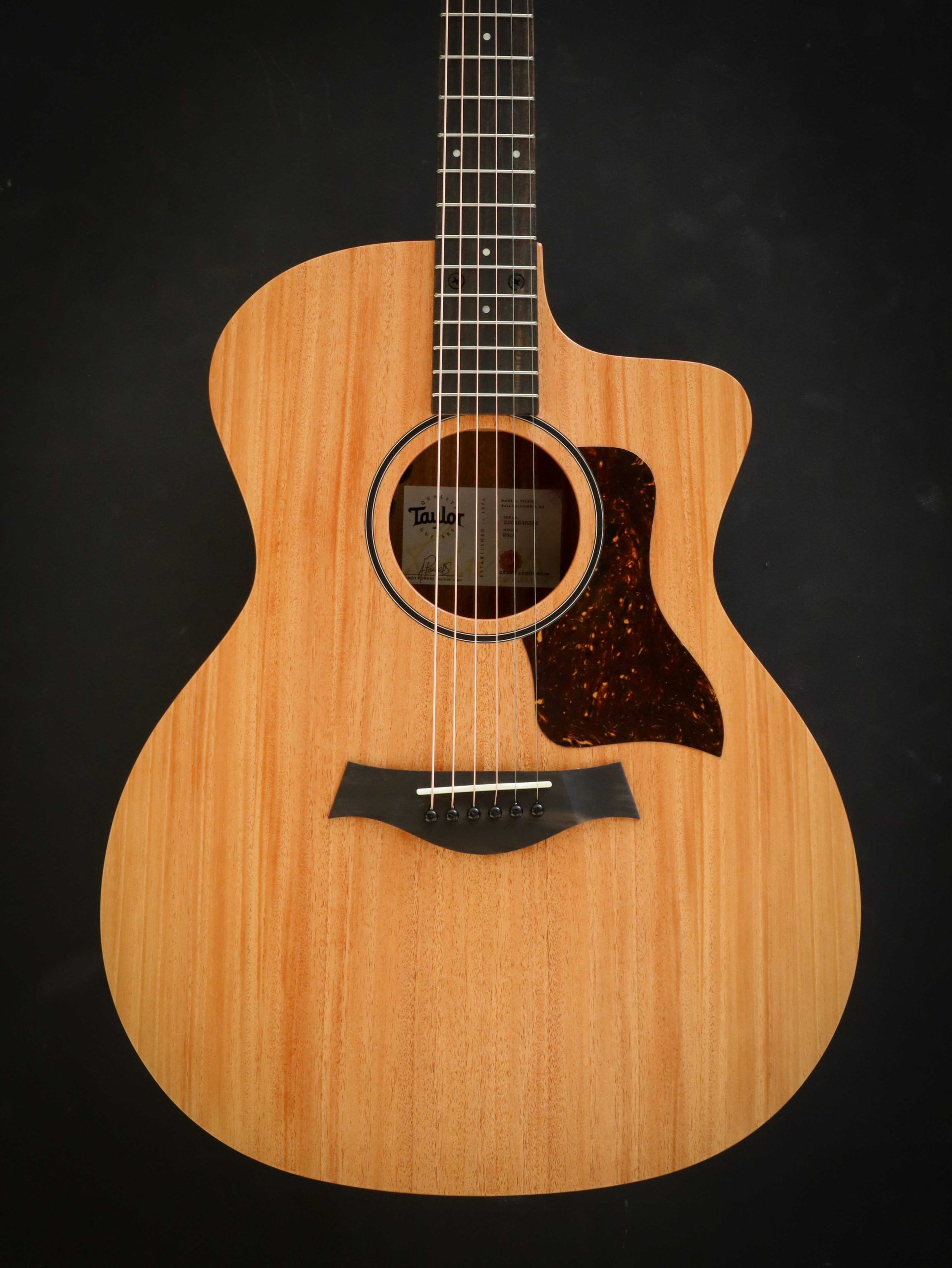 Taylor 24ce – Bild 3