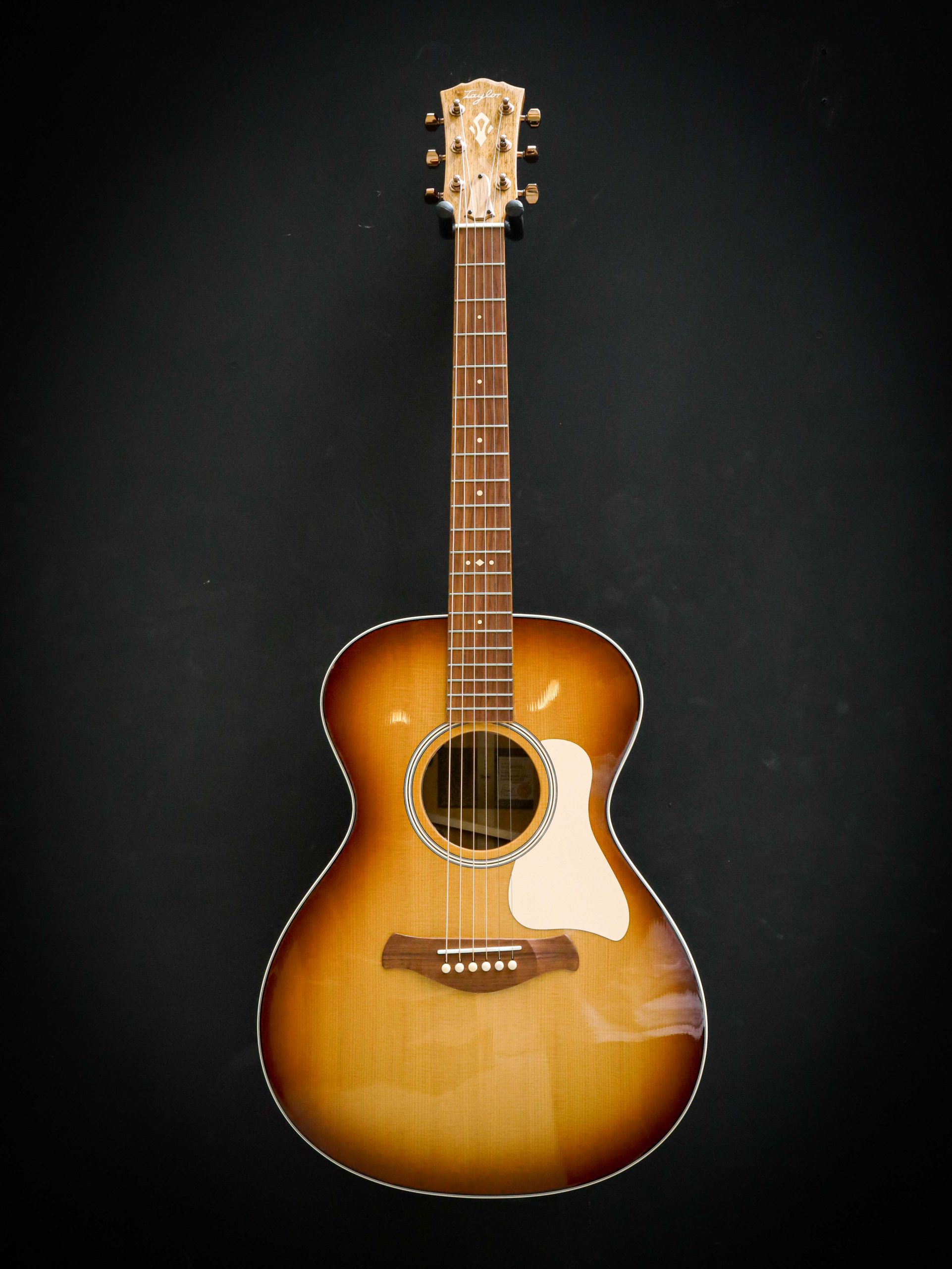 Taylor Ben Harper Gold Label 512e Special Edition – Bild 2
