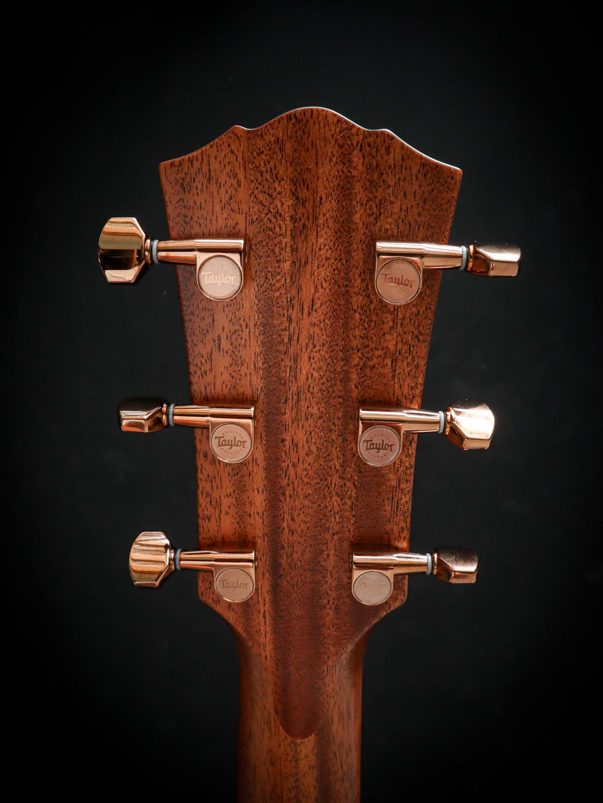 Taylor Ben Harper Gold Label 512e Special Edition – Bild 12