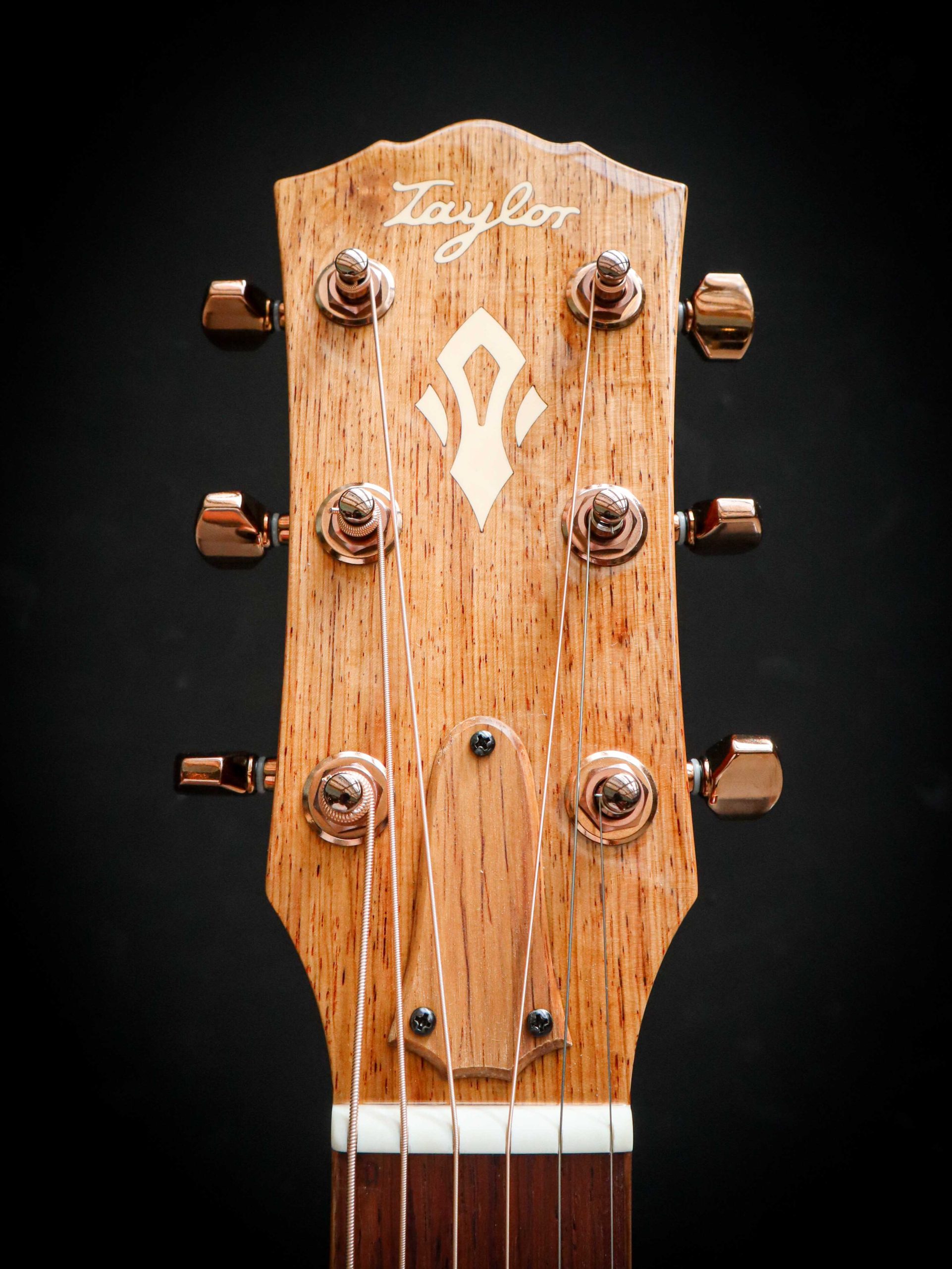 Taylor Ben Harper Gold Label 512e Special Edition – Bild 11