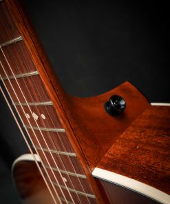 Taylor Ben Harper Gold Label 512e Special Edition – Bild 7