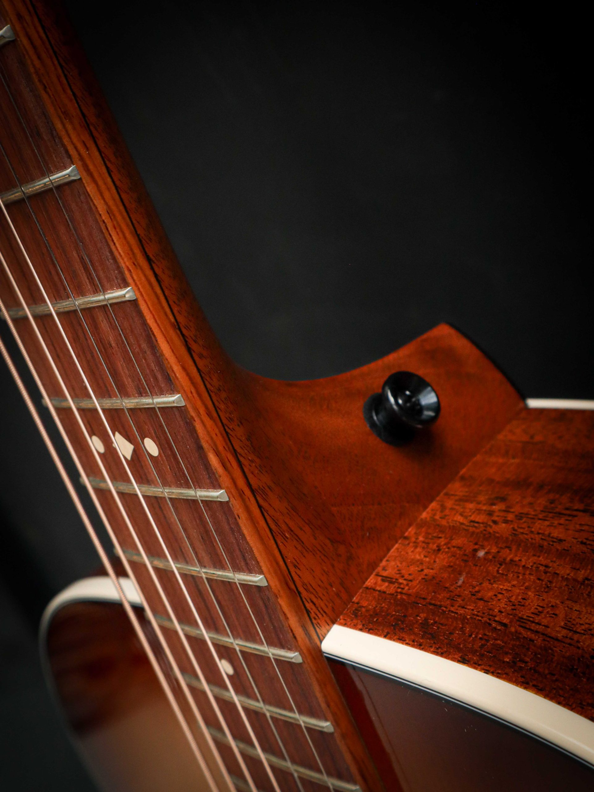 Taylor Ben Harper Gold Label 512e Special Edition – Bild 7
