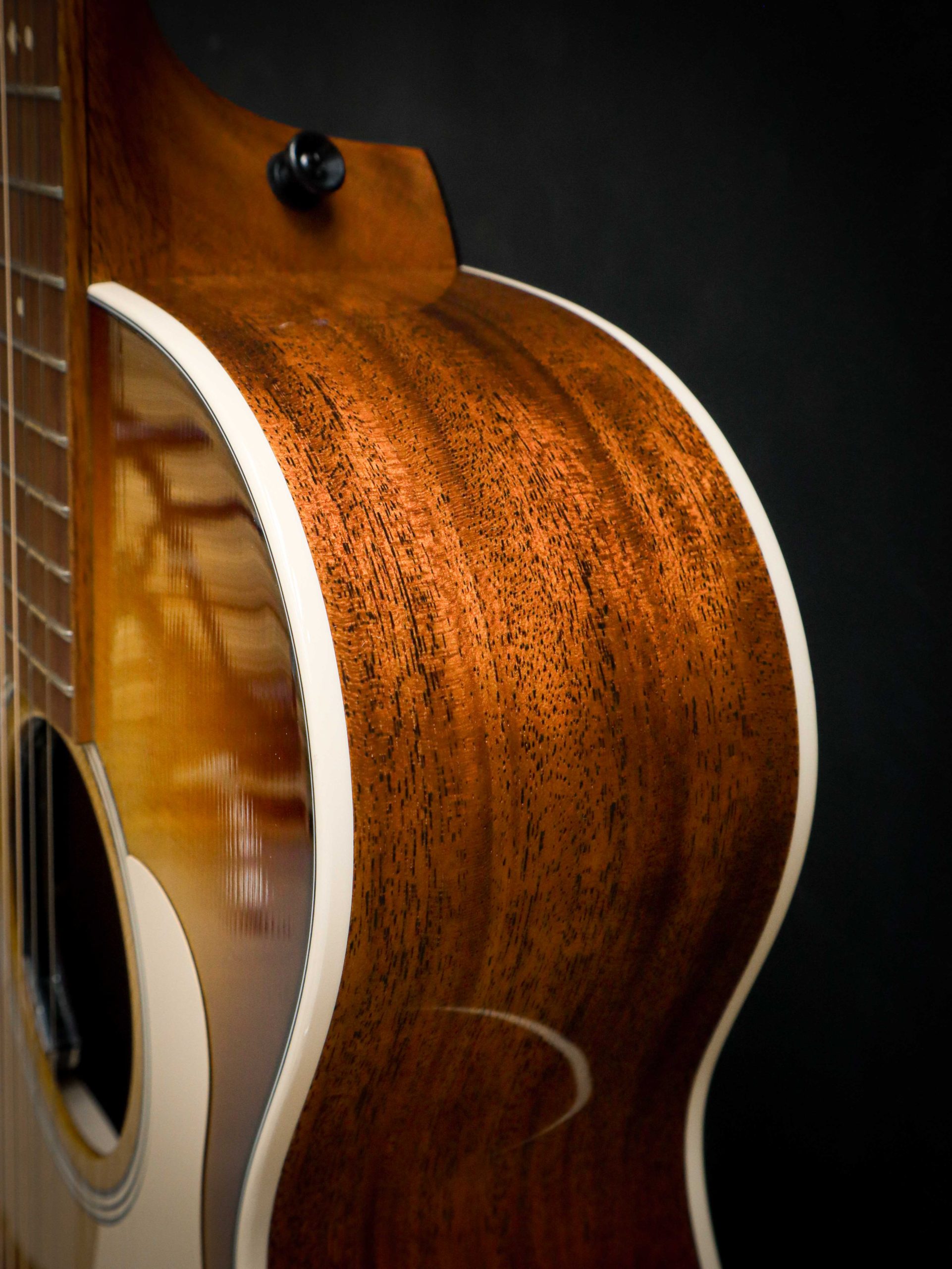 Taylor Ben Harper Gold Label 512e Special Edition – Bild 8