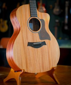 Taylor 24ce