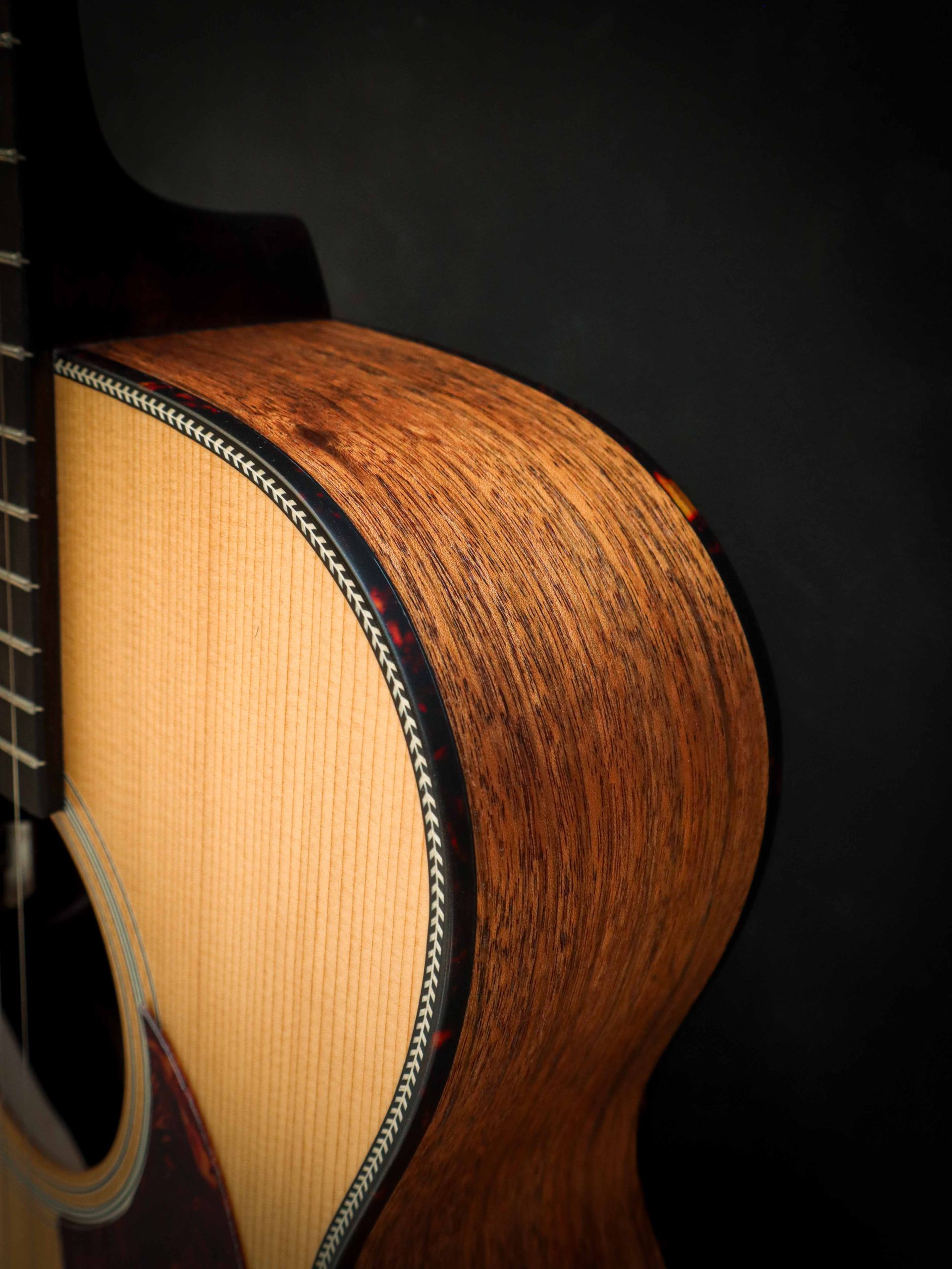 Eastman E3OM – Bild 8