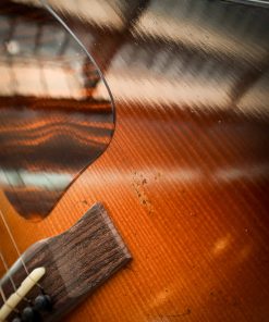 Eastman E22 SS/v – Bild 8