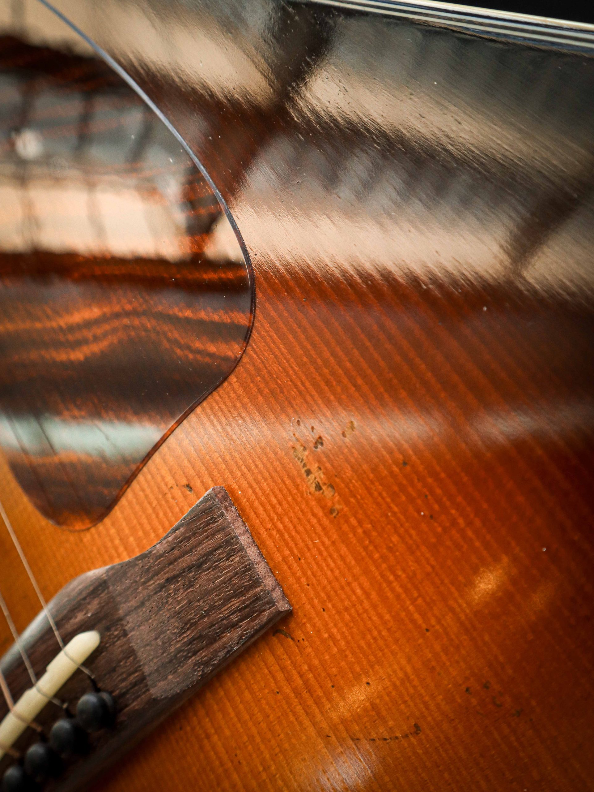 Eastman E22 SS/v – Bild 8