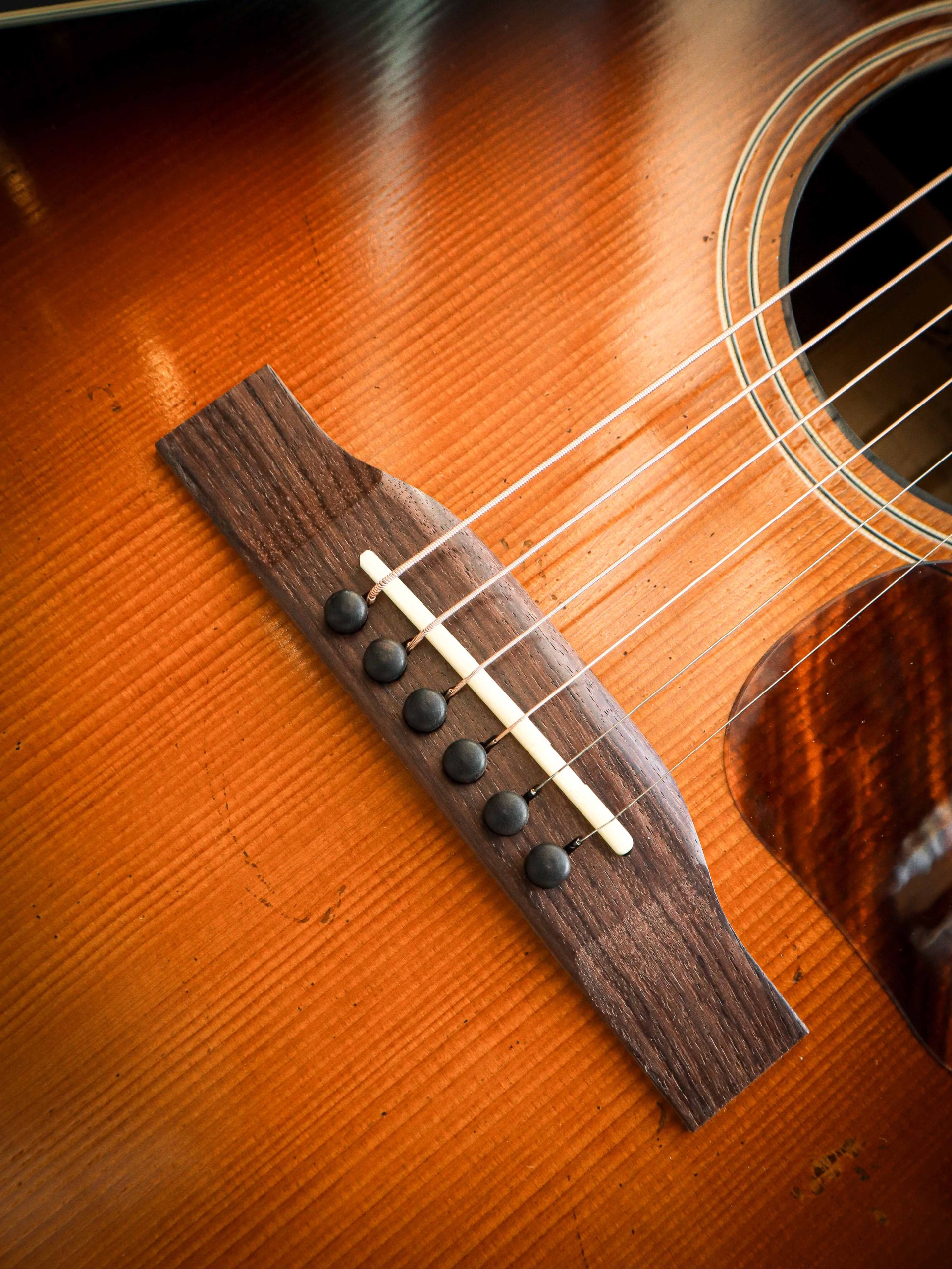 Eastman E22 SS/v – Bild 7