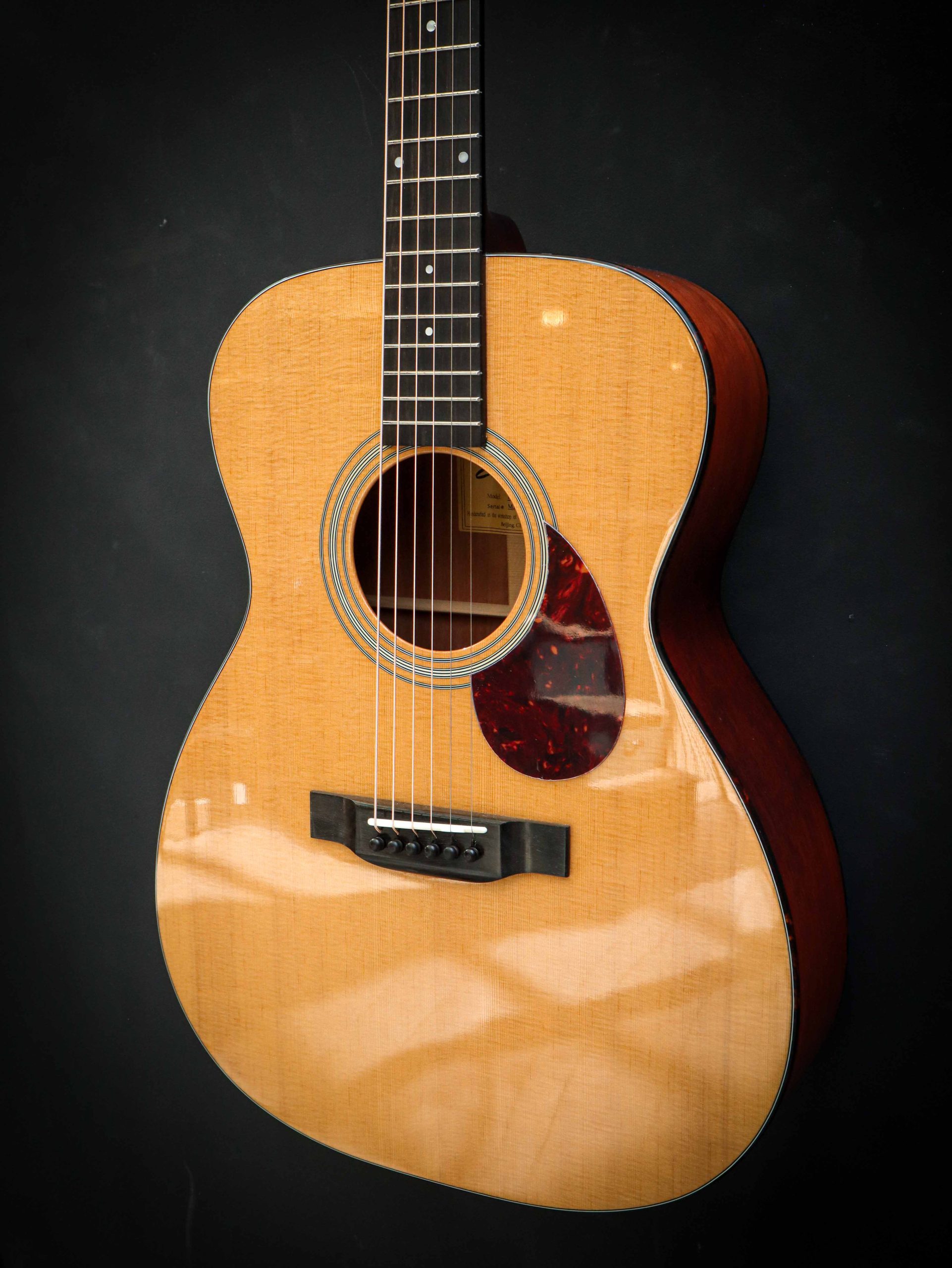 Eastman E6 OM TC – Bild 6